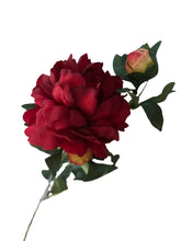 Load image into Gallery viewer, Red Peony Spray with Bud