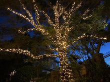 Load image into Gallery viewer, 5m Cool White String Fairy Lights (24v) - Extendable