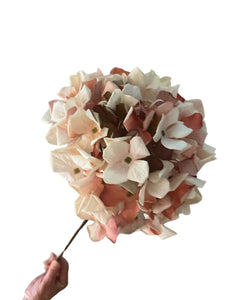 Dry Look Pink Hydrangea Stem