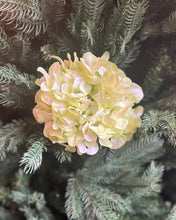 Load image into Gallery viewer, Green Hydrangea Stem