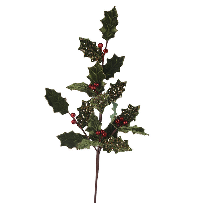 Holly Leaf Valour Stem